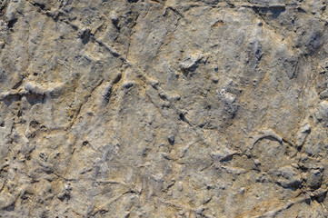 Structure stone. Stone background. Gray stone background.