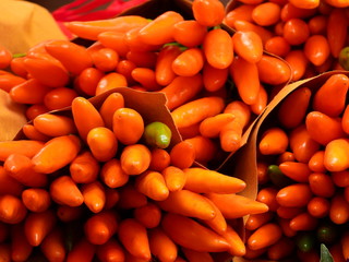 chili Pepper