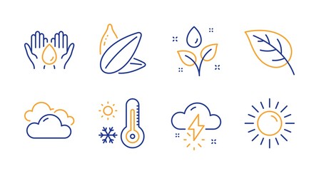 Obraz premium Leaf, Cloudy weather and Sunflower seed line icons set. Thunderstorm weather, Safe water and Plants watering signs. Sun symbol. Environmental, Sky climate. Nature set. Line leaf icon. Vector