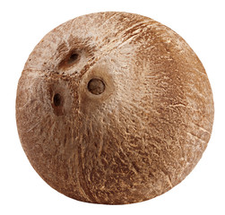 coconut whole, isolated on white background, clipping path, full depth of field