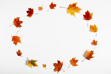 Autumn creative composition. Frame made of colorful maple leaves on white background. Fall, thanksgiving day concept. Autumn background. Flat lay, top view, copy space