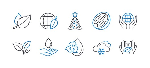 Set of Nature icons, such as Snow weather, Recycle water, Organic tested, Pecan nut, Mint leaves, Water care, Leaves, Environment day, Christmas tree, Fair trade line icons. Vector