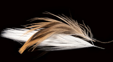 Detailed Theater Mask with Black Feather