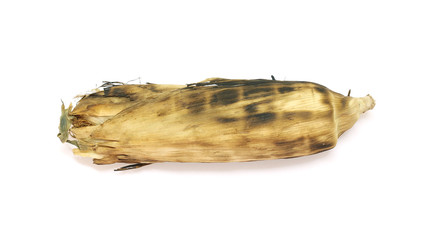 Organic grilled corn on white background.
