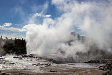 Geysir in Te Puia park in Rotorua, North Island