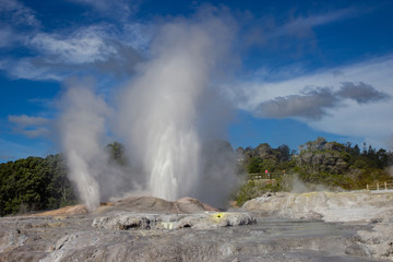 Geysir in Te Puia park in Rotorua, North Island