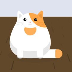 Cute sitting cat. Red cat with white stains.