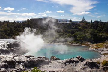 Geysir in Te Puia park in Rotorua, North Island