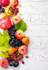 Various autumn fruits. Harvest concept