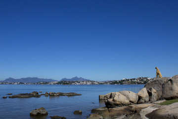 Pedra da On&ccedil;a na Ilha do Governador