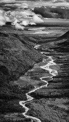 Black and white image of a river winding through the dwarf forest of Alaska