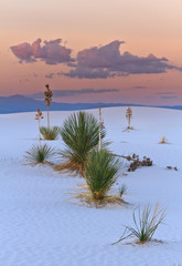 Sunset in the White Sands national Monument, New Mexico, USA