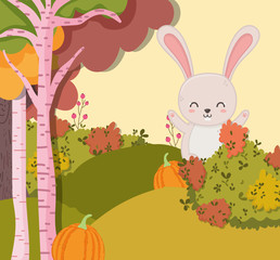 smiling rabbit with pumpkin forest hello autumn