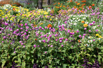 秋のデザインされたガーデン