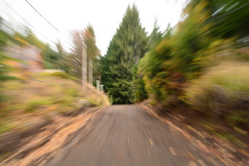 Dirt road on a foggy morning. Movement and blurred effect, good for backgrounds. Abstract, moody, spooky and mysterious on dark cloudy day next to the woods, great for halloween