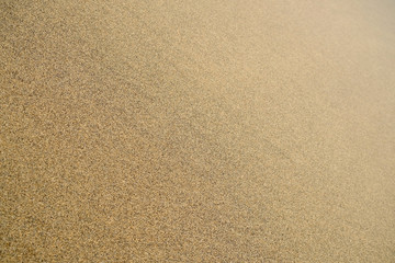 Wet sand on beachin flat shadeless light, wet and hard.