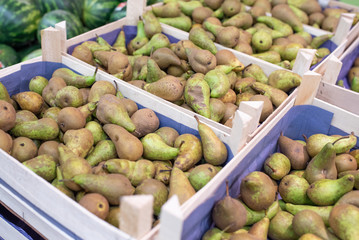 Yellow and green pears on a shelf of the refrigerator, in a supermarket.