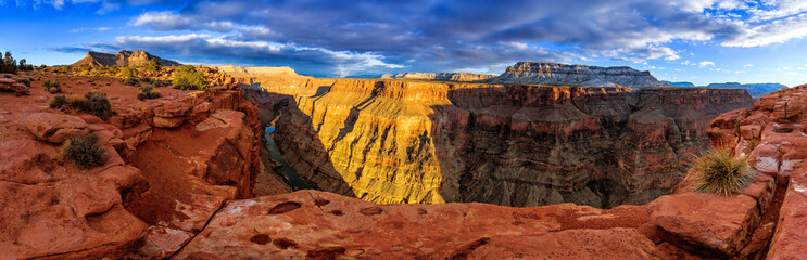 Raw beauty of the Grand Canyon