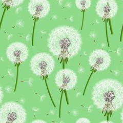 Green seamless background with dandelion blowing