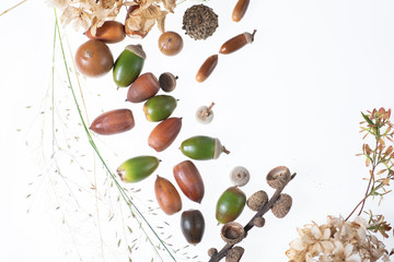 秋の森で拾ったどんぐりや落ち葉