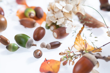 秋の森で拾ったどんぐりや落ち葉