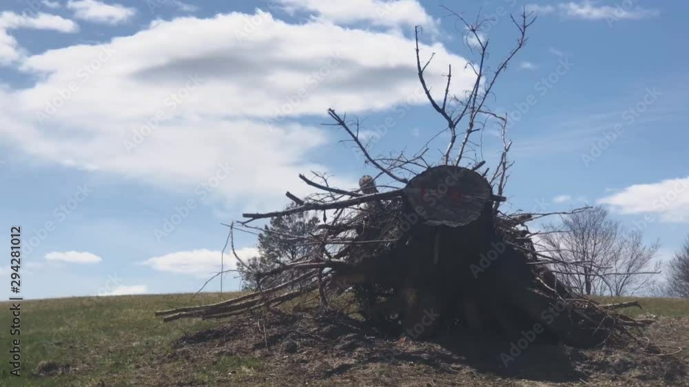 Poster rotating tracking shot around a fallen tree's stump with paint on top at the top of a hill with a zo