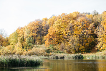A lake in the autumn forest in the soft sunset light. Beautiful sunny autumn