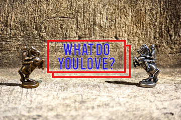 Text sign showing What Do You Love Question. Business photo showcasing Enjoyable things passion for something inspiration Two Bronze Chess Pieces Knights Facing Each Other in Focus and Defocused