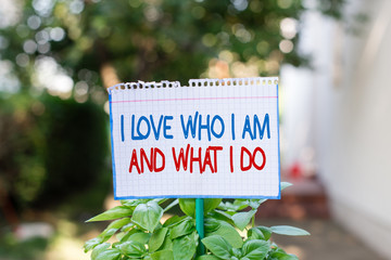 Word writing text I Love Who I Am And What I Do. Business photo showcasing High selfstem being...