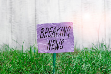 Conceptual hand writing showing Breaking News. Concept meaning Special Report Announcement Happening Current Issue Flashnews Plain paper attached to stick and placed in the grassy land