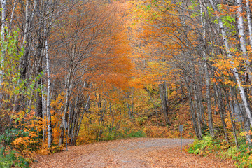 Scenic road through Parc de la Jacques-cartier national park in Quebec