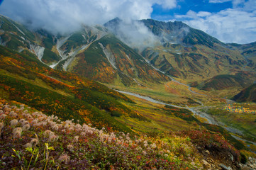 立山連峰の紅葉と高山植物のチングルマ
