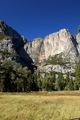  Yosemite waterfall viewed from a colorful mountain meadow