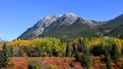 Scenic autumn landscape in Banff national park