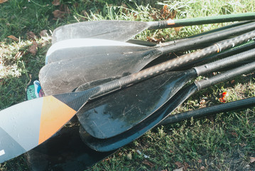 Lots of paddles on the grass. closeup of the paddle on the grass in the early morning,