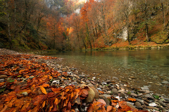 The Kupa (Kolpa) River in autumn, Croatia
