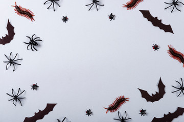 Halloween and decoration concept, miscellaneous bats, spiders, centipede and flies on gray...