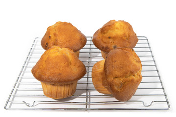 golden cranberry muffins on a bakery wire cooling rack isolated on white