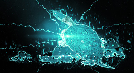 浮世絵　かめ　その2　サイバー