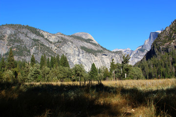 Beautiful view of Yosemite from the meadows in the valley