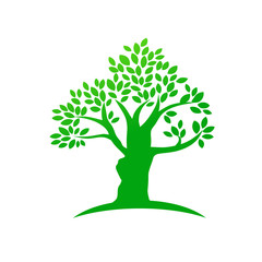  tree silhouette with green color vector Illustration
