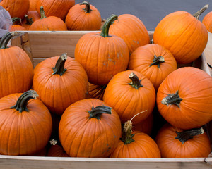 halloween pumpkins in a wooden crate in a grocery store