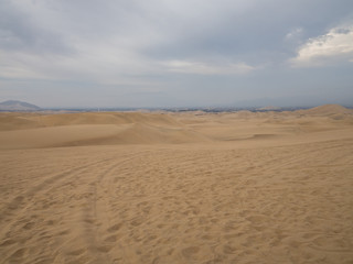 Fototapeta na wymiar Ica Desert landscape, many dunes in the horizon