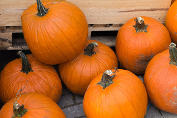 halloween pumpkins in a wooden crate in a grocery store