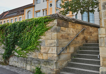 Ivy Covered Wall with Staircase Up to Buildings