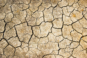 cracked ground for background.save the world environment concept