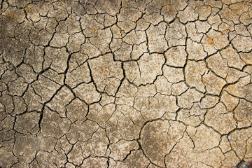 cracked ground for background.save the world environment concept