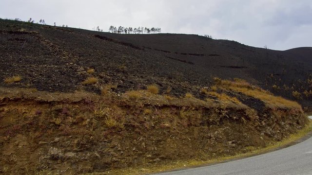 Burnt vegetation after a wildfire in the hills of Portugal - travel photography