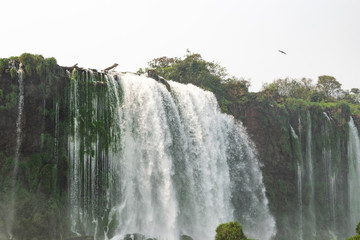 Iguazu Falls, a magnificent waterfall located In Brazil and Argentina