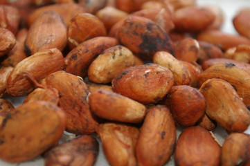 Cacao de la mejor manera  a lo natural y en armonia con el ambiente